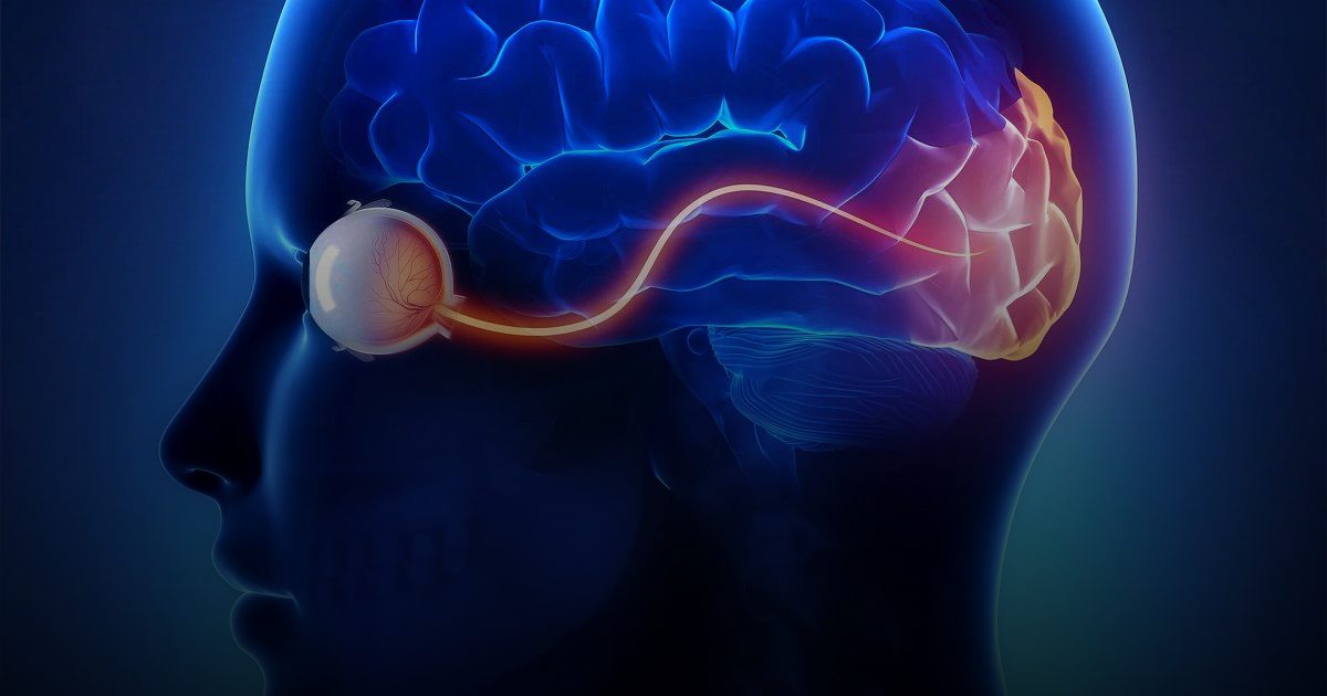 هل تتحول أحلامنا إلى مختبرات ذكية لحل الأزمات المعقدة؟