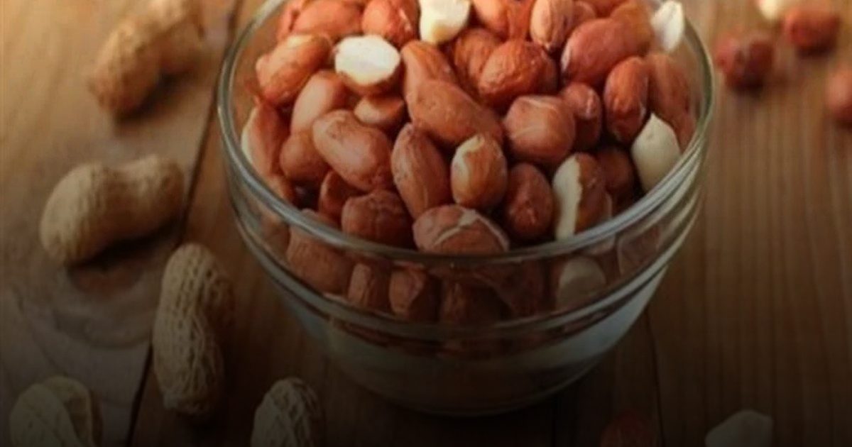 تعزيز فوري للذاكرة: تناول "حفنتين" من الفول السوداني يومياً يحسن الذاكرة في 4 أشهر