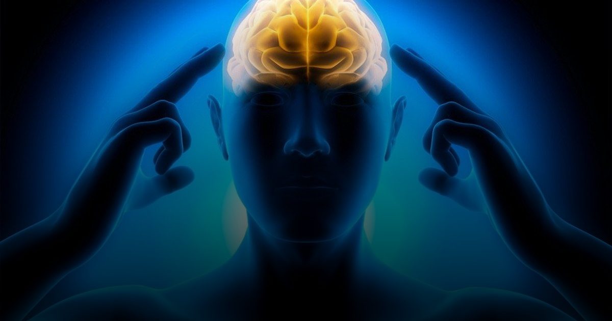 تعرف على سر التركيز والصفاء الذهني.. بروتين في الجسم  يغذي الخلايا العصبية