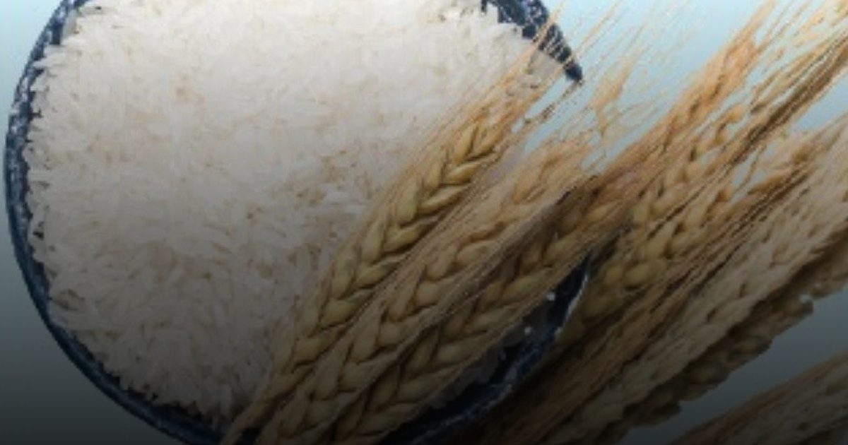 السيلياك مرض مناعي يوقف النّموّ عند الأطفال.. وغالبية الإصابة في النساء