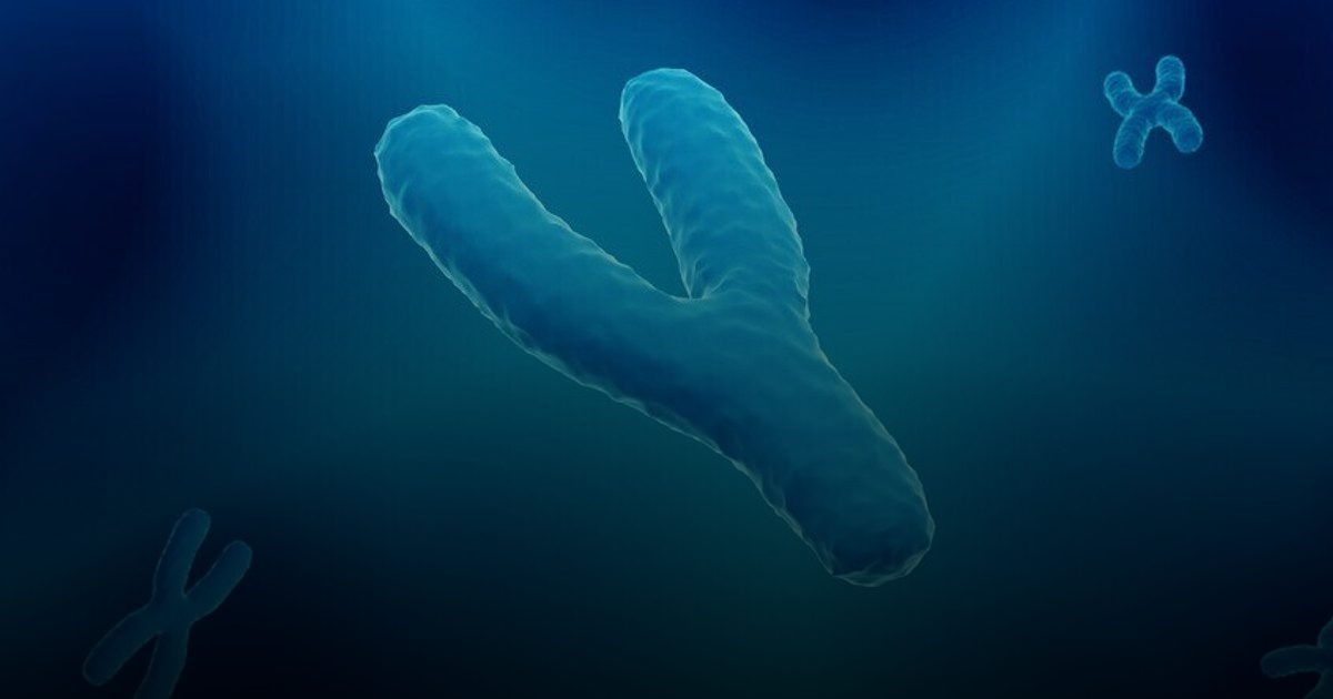 " ملف خاص" العالم الوردي: لماذا يميل ميزان الولادات نحو الإناث؟