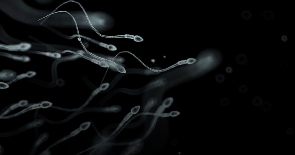 العقم بعد الأربعين: انخفاض جودة الحيوانات المنوية