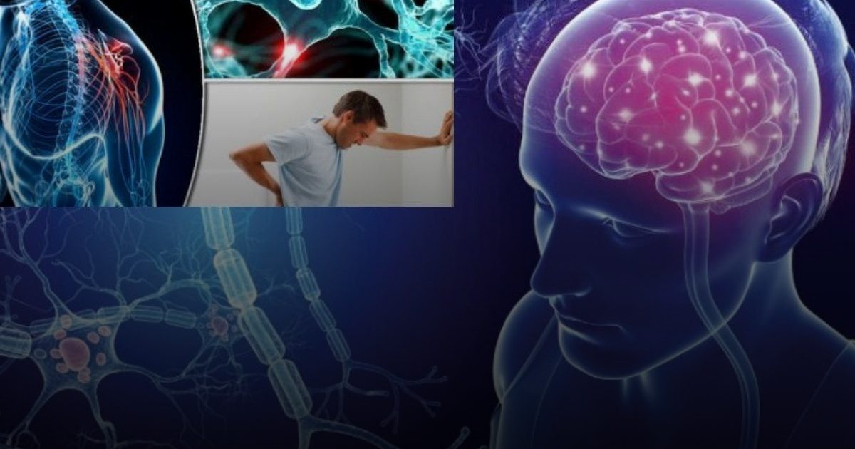 "طبي بالمدينة المنورة" يناقش المستجدات العلمية لرعاية مرضى "التصلّب اللويحي"