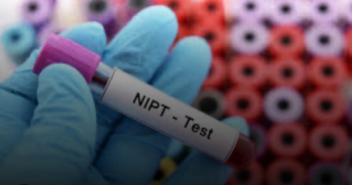 فحصان لا غنى عنهما لسلامة الجنين.. "الدم" للداخل و"الأشعة" للخارج