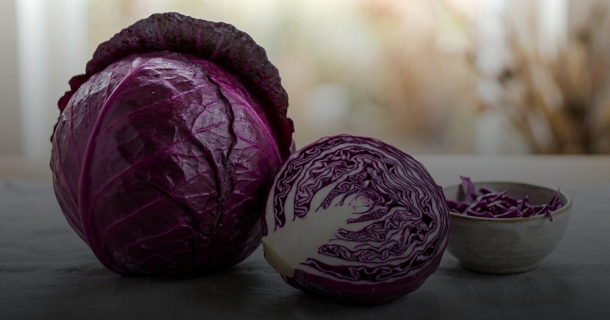 الكرنب الأحمر: الغذاء الخارق لتعزيز المناعة ومكافحة الشيخوخة