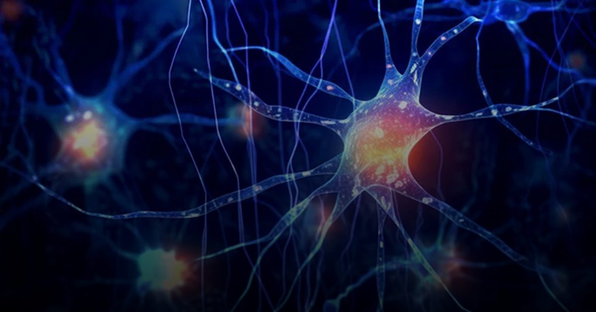 خلايا نجمية: الخلايا النجمية قد تفسر سعة التخزين الهائلة للدماغ البشري