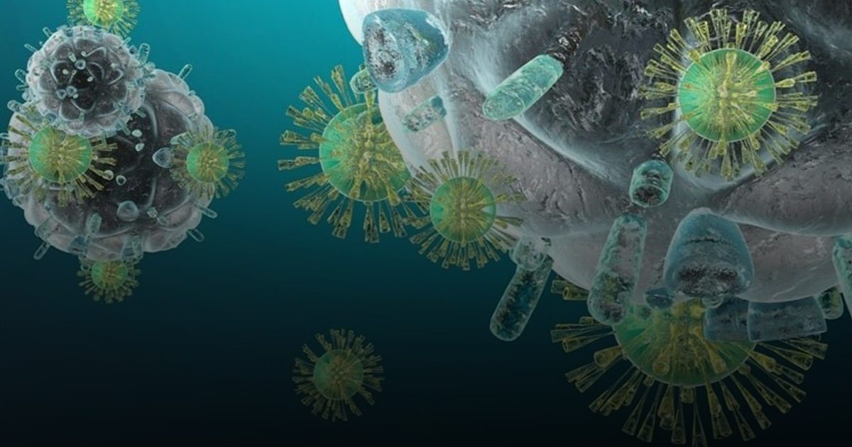 بكتيريا تمتص "السموم" وتقلل خطر السرطان .. أمل جديد من الأمعاء