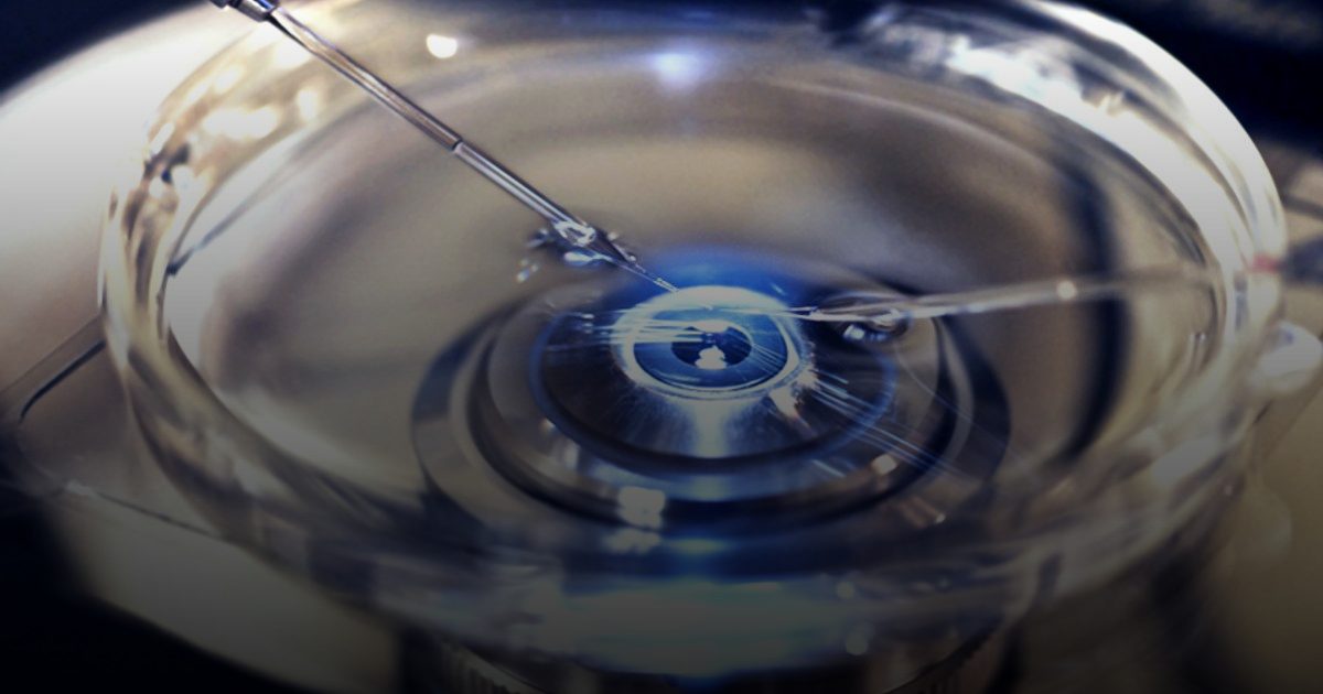 فيتامين C.. "درع" يحمي خصوبة الرجال من الملوثات الكيميائية