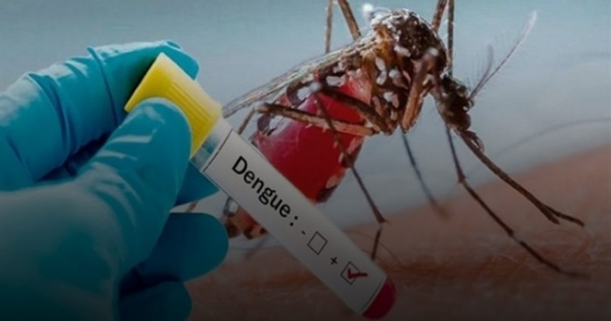 42 إصابة بحمى الضنك في دول المحيط الهادئ خلال أسبوع