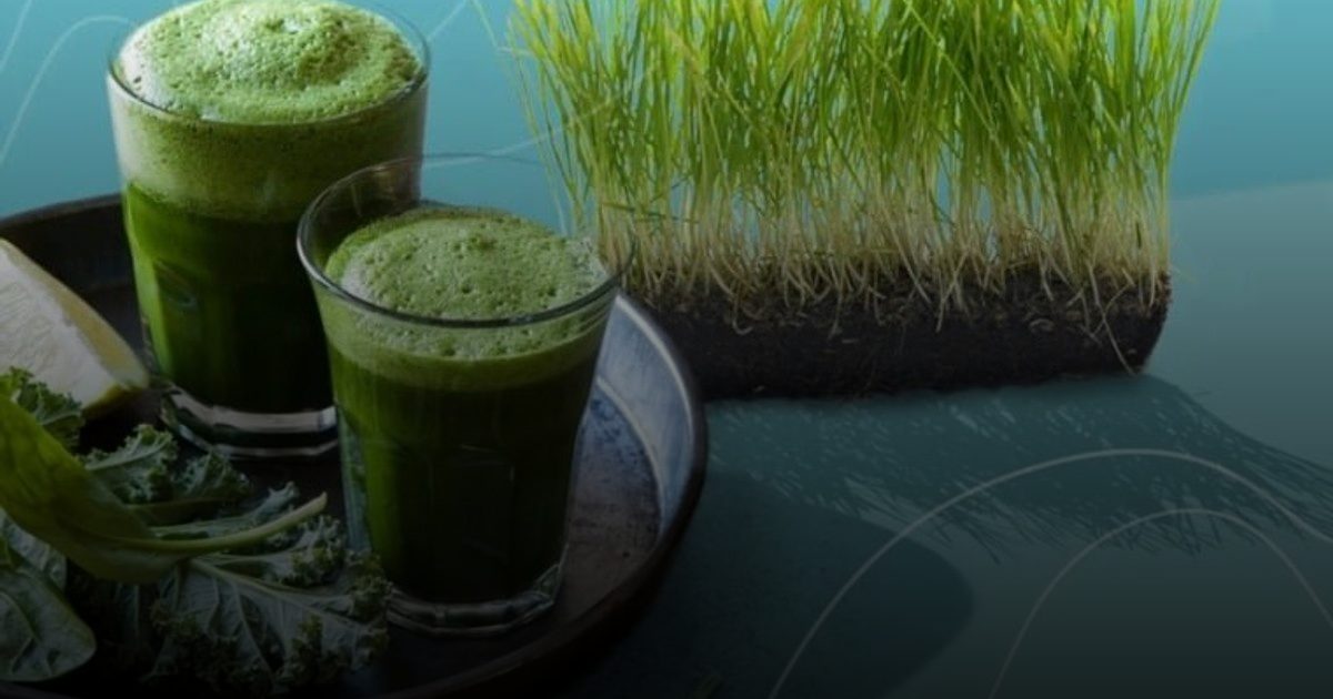 عصير عشبة القمح.. يخفض الكوليسترول ويحمي من السرطان