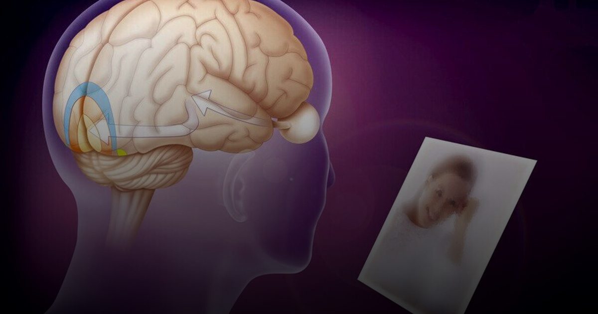 "KIBRA".. العلماء يحددون الجزيء الذي يمنح الذكريات البشرية القدرة على البقاء لسنوات طويلة