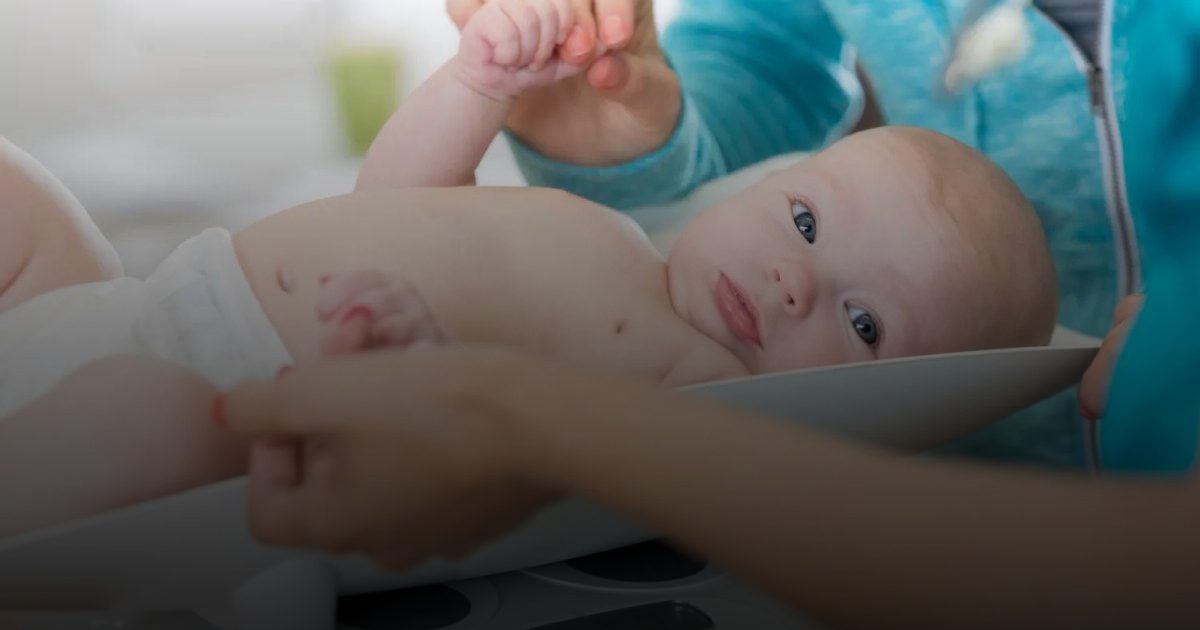 معلومات تهم الحامل..  الذكر يزن عند الولادة 3.3 كيلوغرام والأنثى 3.2