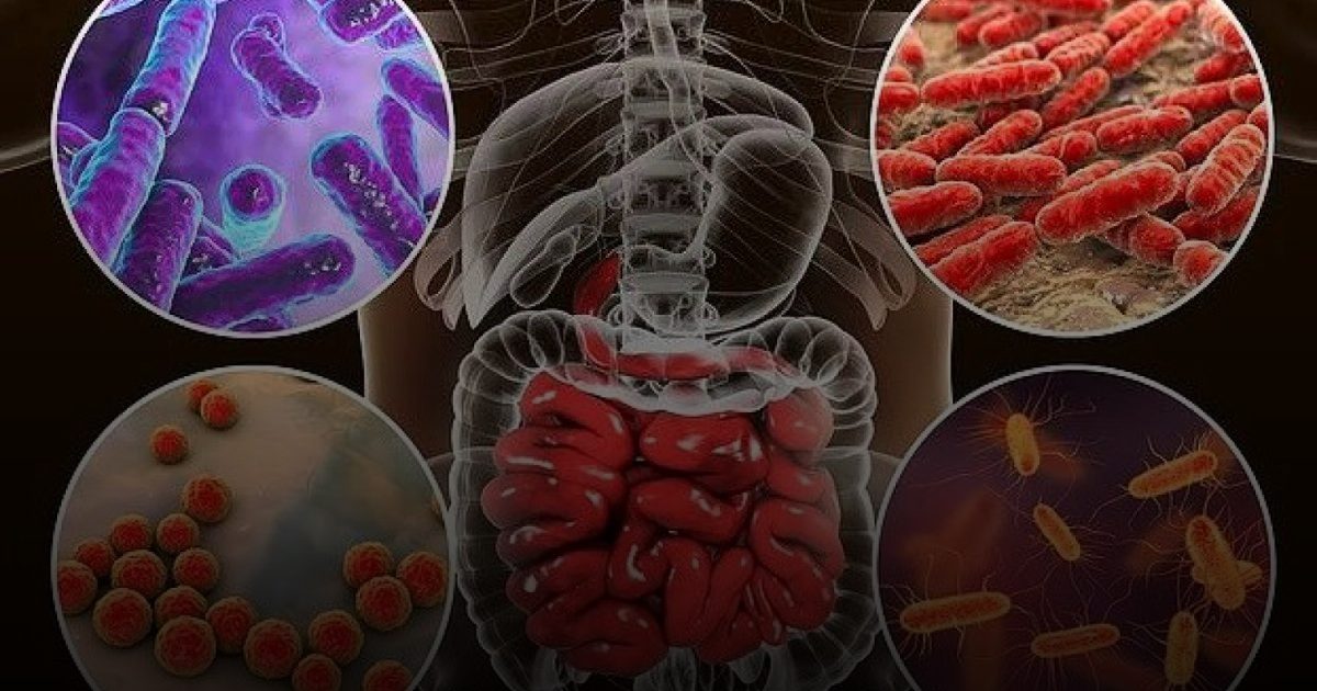 بكتيريا الأمعاء.. المحرك الخفي لجودة النوم العميق