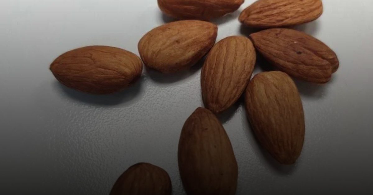 تناول 22 حبة لوز يومياً قد يطيل العمر