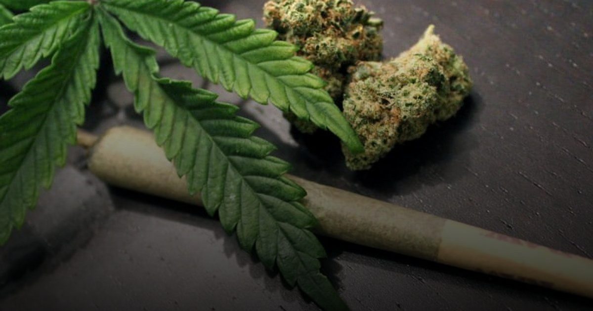 تعاطي الماريغوانا يدمر القلب والأوعية الدموية بنسبة 50%