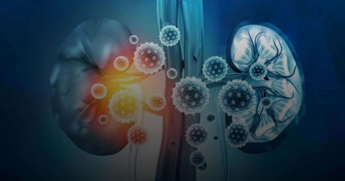 دراسة عن كوفيد تحدد مدى ارتباطه بمشاكل الكلى