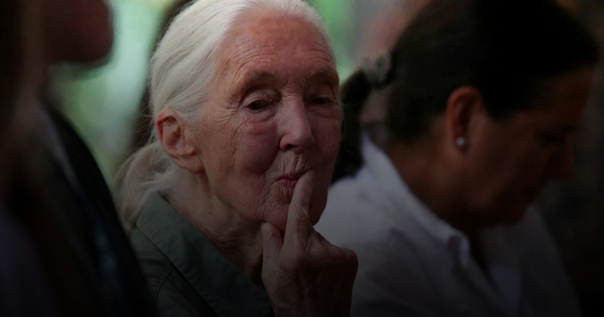 علاج جيني قد يبطئ تطور مرض هنتنغتون بنسبة 75%