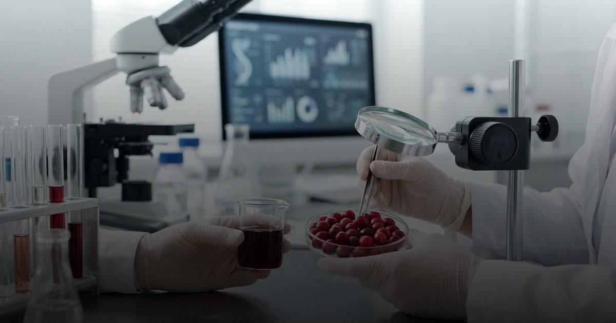 فوائد مذهلة للتوت البري في صحة القلب والجهاز الهضمي