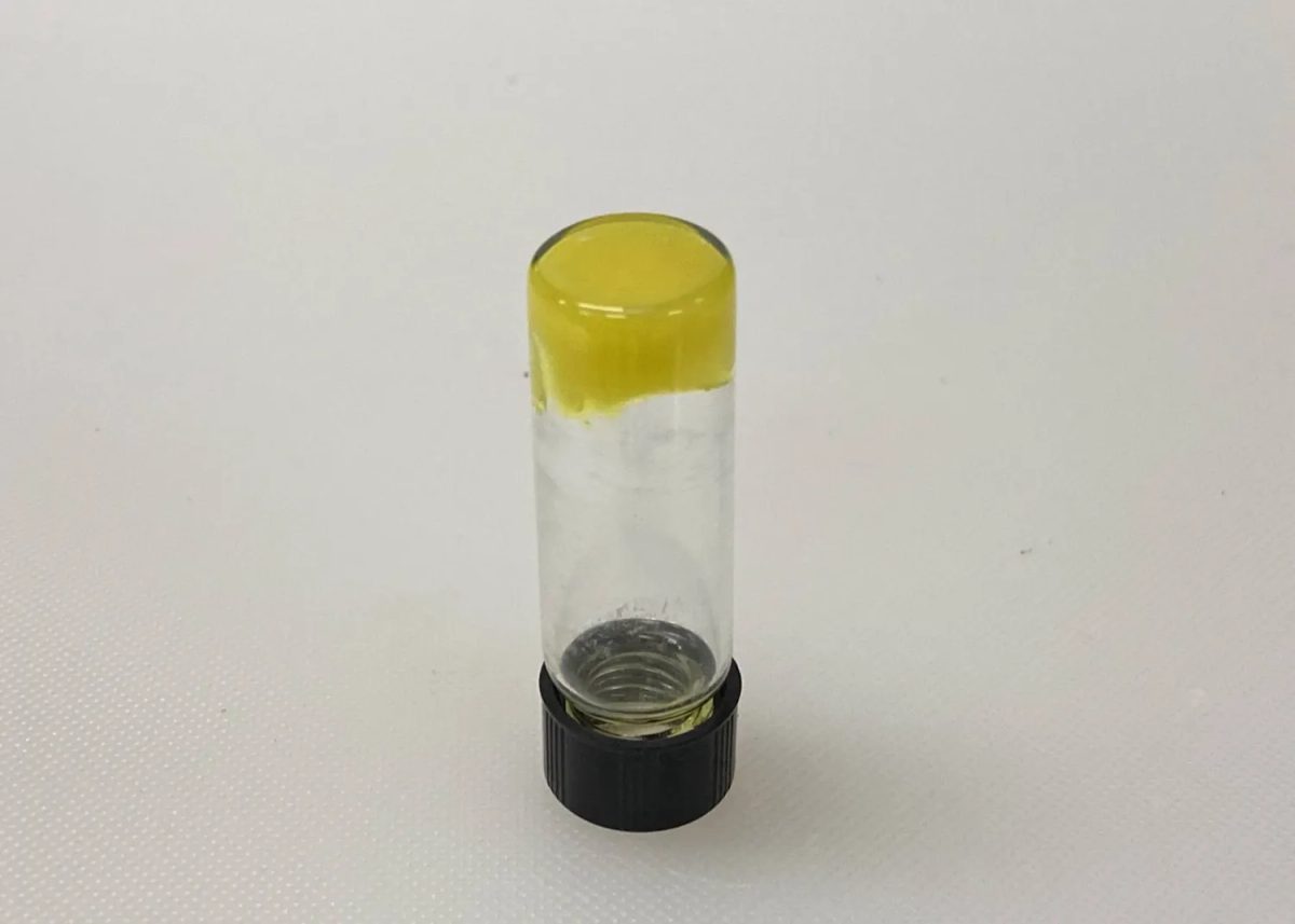 التقنية الثورية "آدم": سدادات الهيدروجيل بديل آمن للواقي الذكري