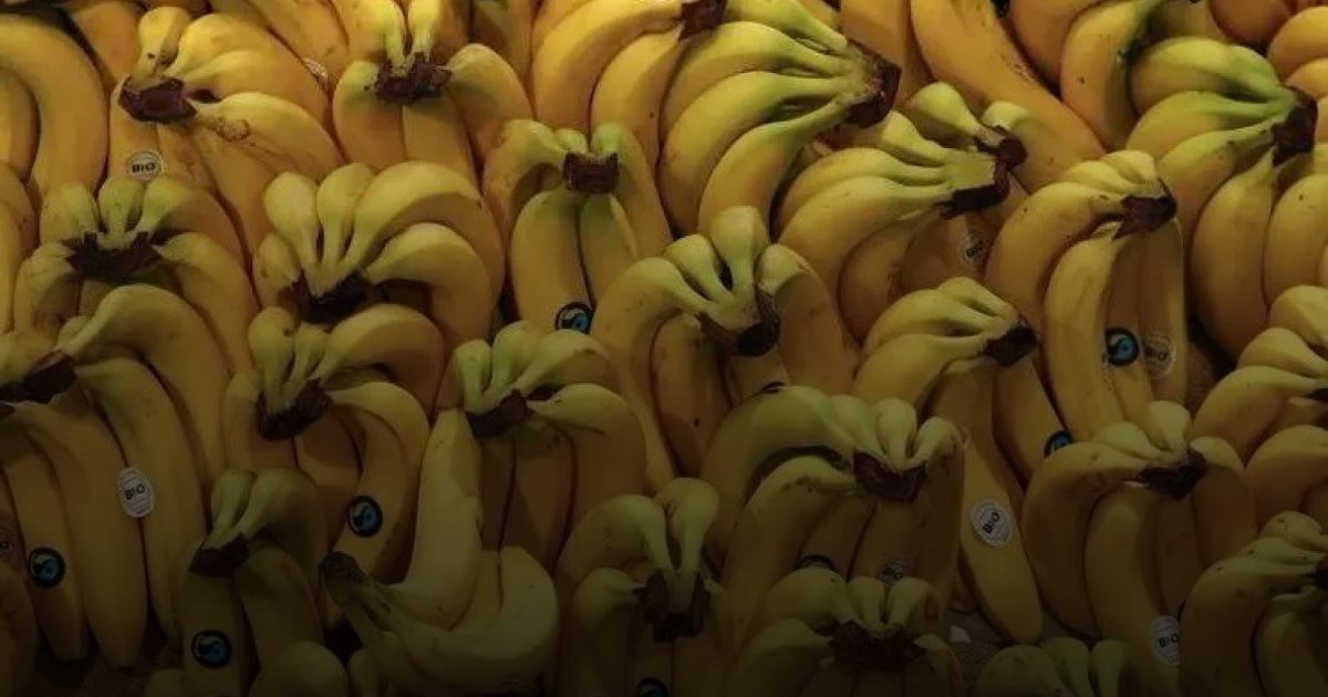 دراسات: قشر الموز صالح للأكل .. ومنظومة من الفوائد الصحية