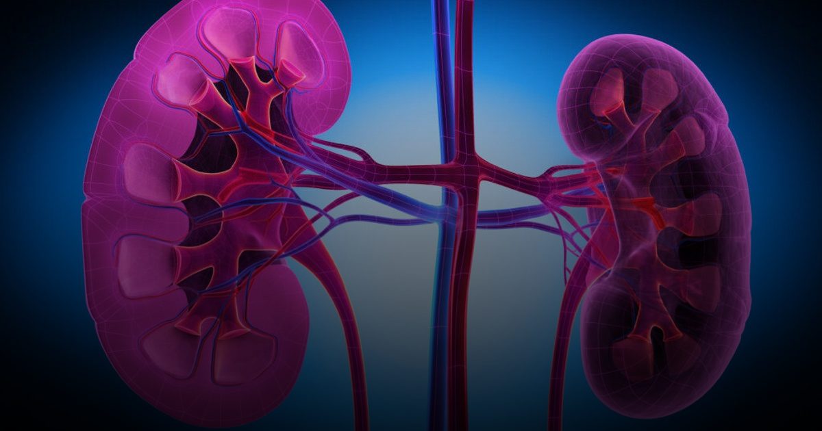 عقار "فيرتكس" يخفض مؤشرات مرض الكلى