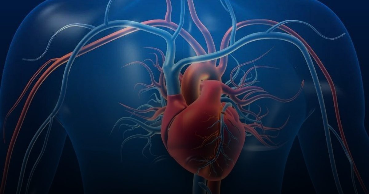 دليل صحة القلب 2026.. خمس نصائح جوهرية لبداية عام أكثر حيوية