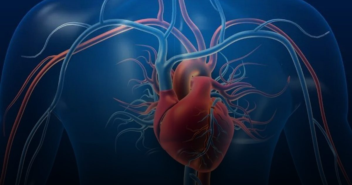 تسارع ضربات القلب.. الأسباب والأعراض وطرق العلاج