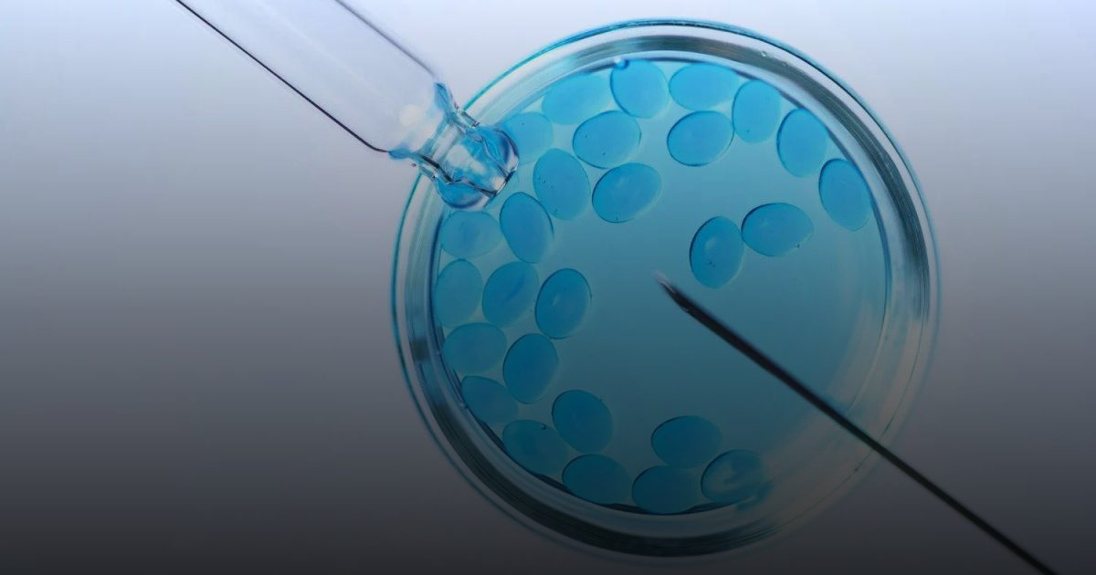 اكتشاف ياباني يفتح آفاق علاج العقم الذكري