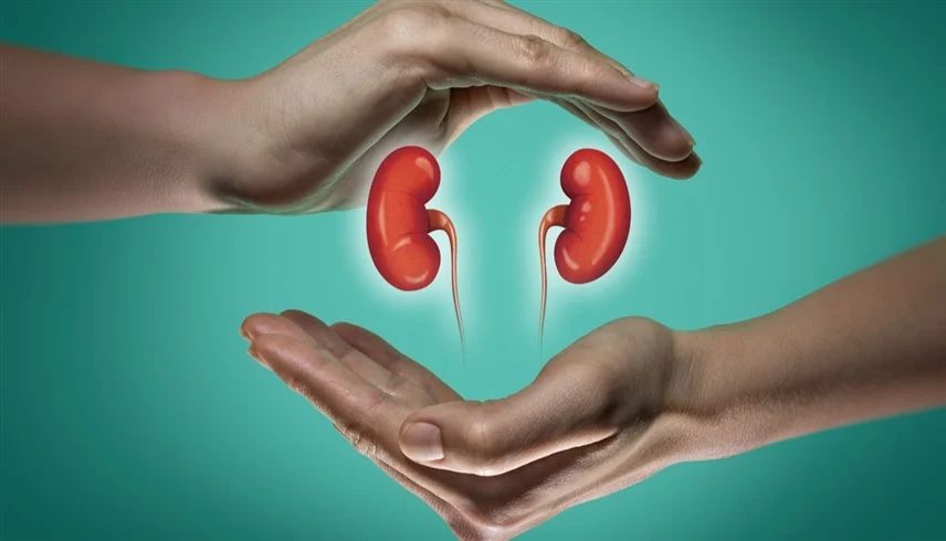 مرض الكلى المزمن: أهم أسبابه وكيفية الوقاية منه