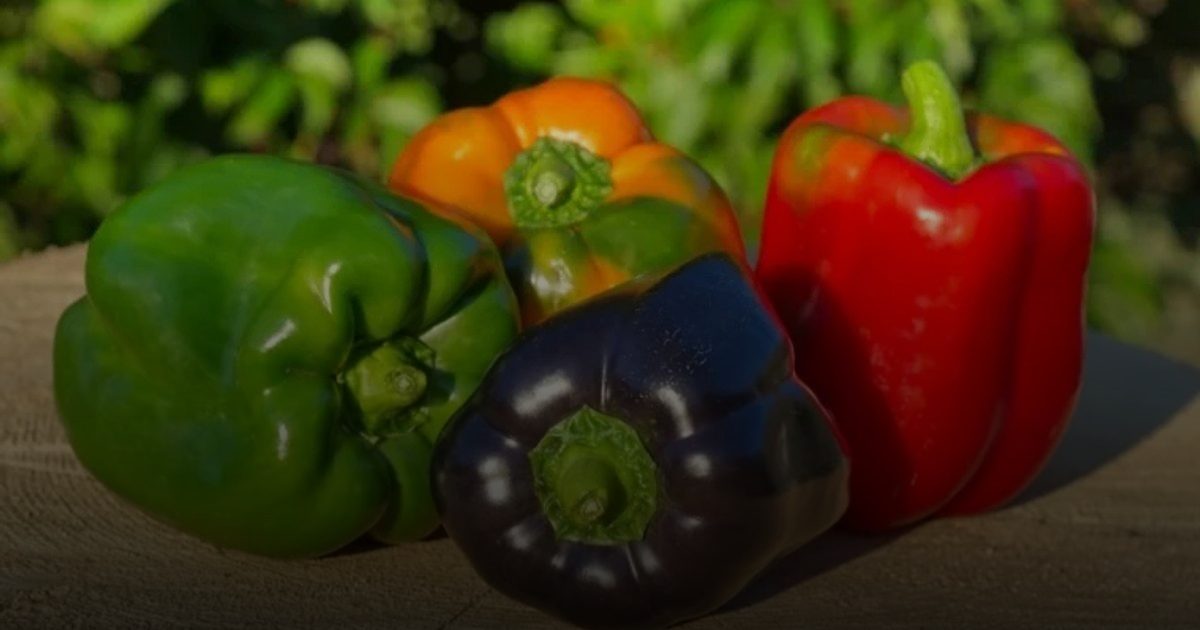 صيدلية  الخضار.. الفلفل الأحمر سلاح الشتاء ضد "الإنفلونزا الشرسة"