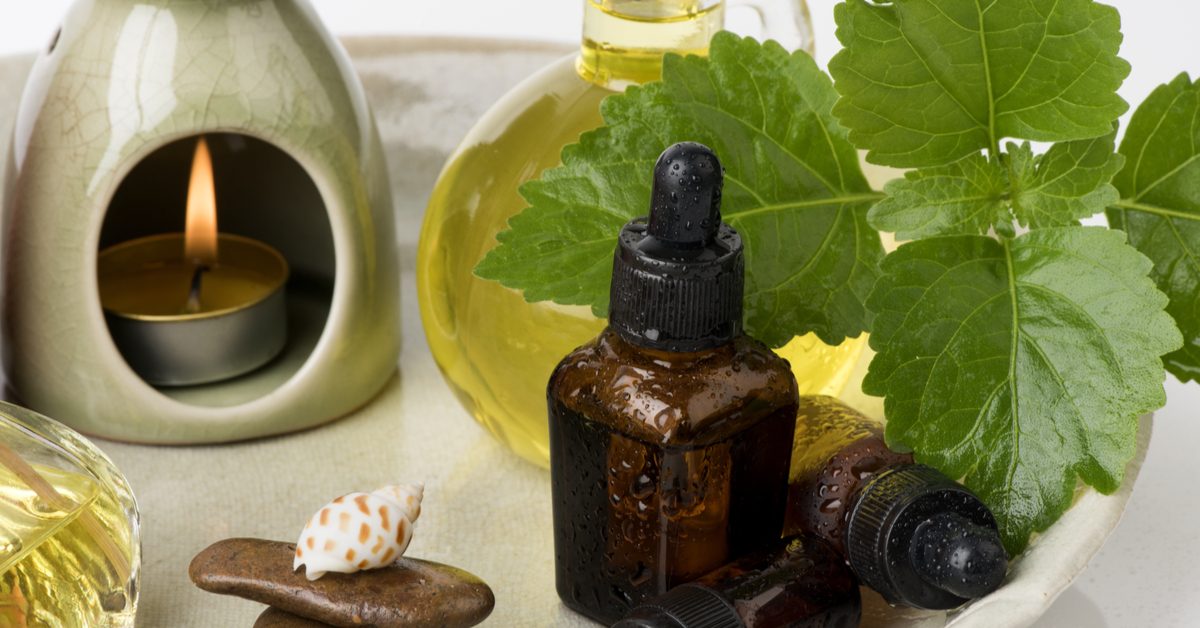  عطر الستينيات الرجالي.. زيت الباتشولي سلاح طبيعي مبتكر لطرد البعوض