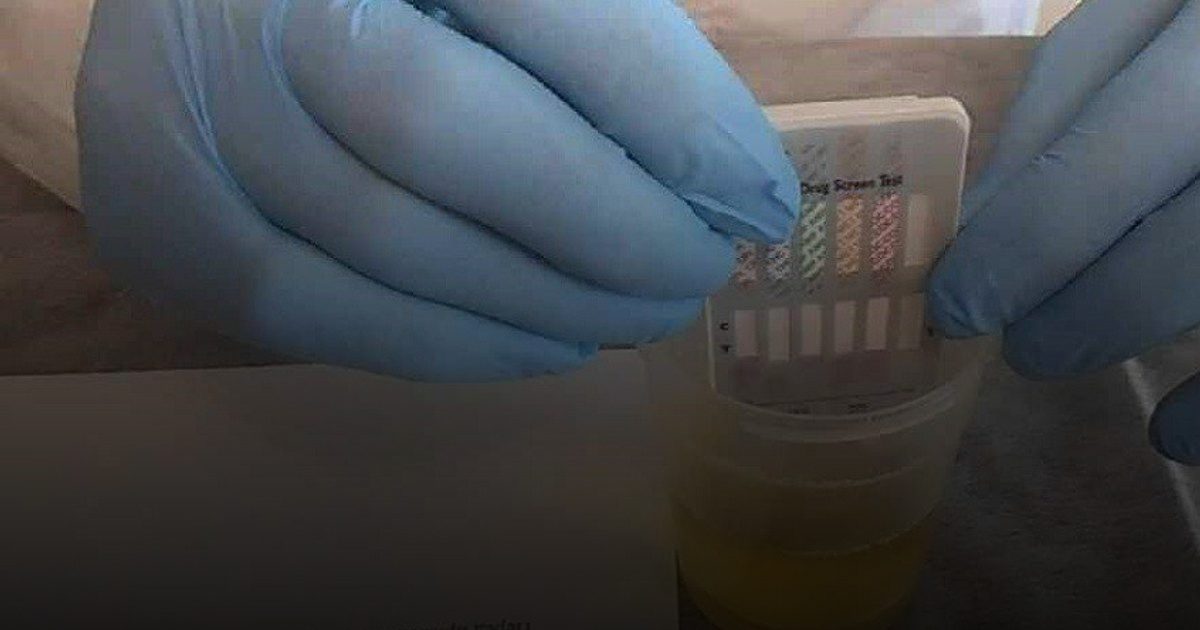 اختبار بدولار وبدون مختبر.. مستشعر بصري يغير لونه للكشف السريع عن التسمم بالرصاص