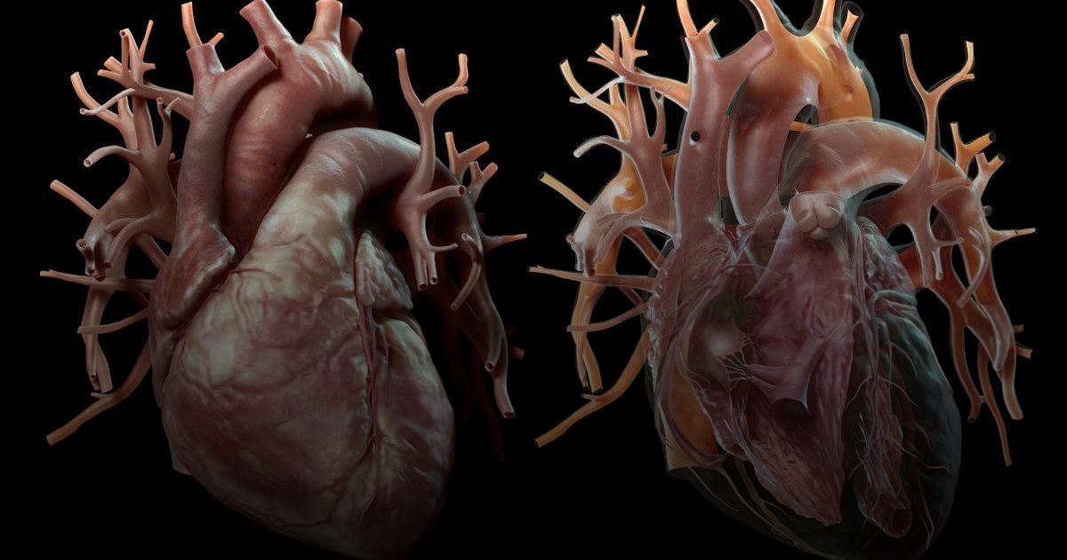 سرطان القلب مرض نادر وخطير