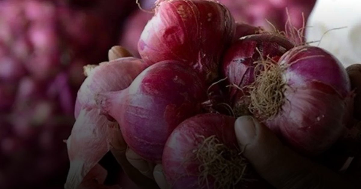 قشور البصل: كنز غذائي غني بمضادات الأكسدة والألياف...