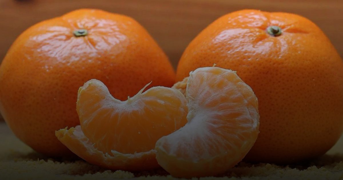 لا تتجاهلها: الخيوط البيضاء في اليوسفي كنز من الألياف ومضادات الأكسدة