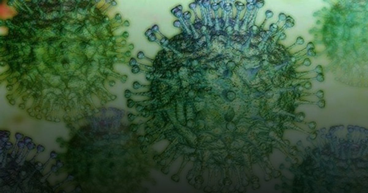 قنابل موقوتة.. "إنفلونزا الأبقار" و"كورونا الكلاب" يهددان الصحة العالمية