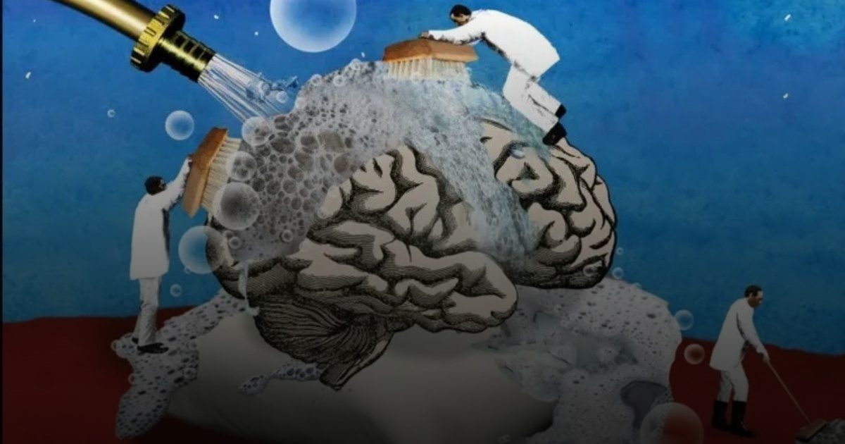 تنظيف الدماغ من السموم أفضل وقاية من الخرف