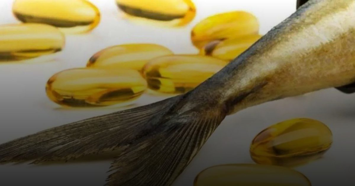 مكمل "أوميغا 3" يحدّ من العدوانية بنسبة 28%.. ودعوة لتطبيقه على نطاق واسع