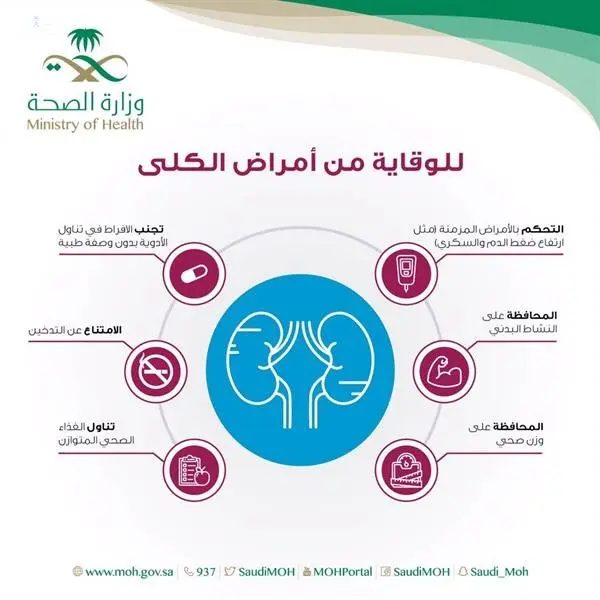 اليوم العالمي للكلى يُسلِّط الضوء على أهمية الكلى والوعي بالسلوكيات الوقائية