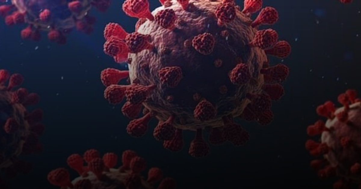 واشنطن تعلن أول إصابة بشرية بفيروس H5N5..