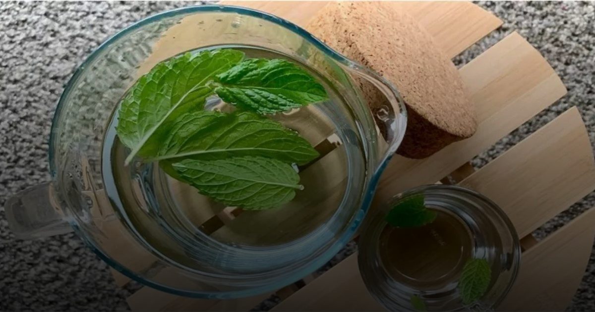 شاي النعناع يعالج ضغط الدم والتهاب المفاصل ويقوي الذاكرة