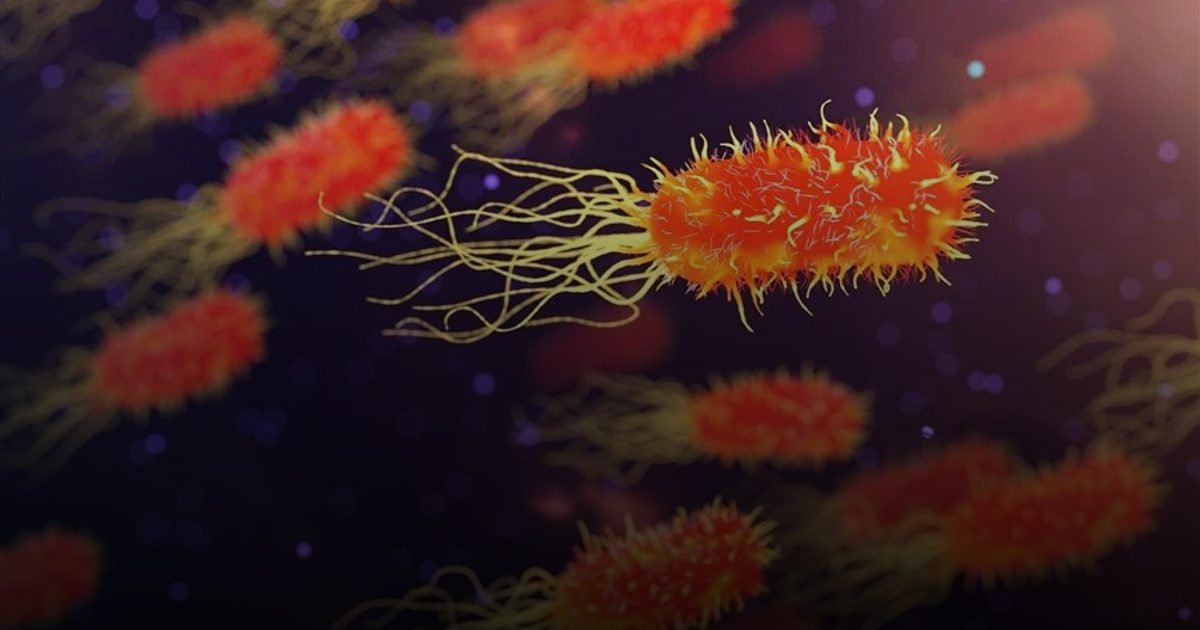 دراسة تربط بين الوجبات السريعة وزيادة سرطان القولون بين الشباب