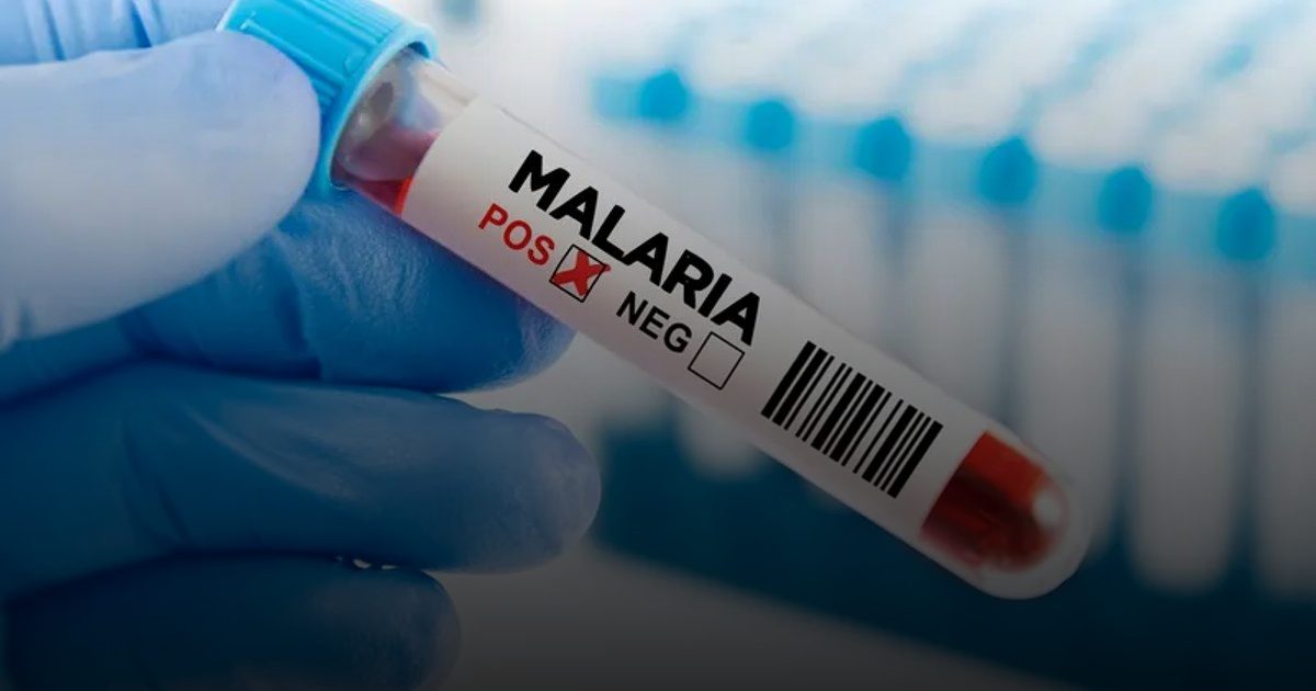 أقمشة بالمبيدات تحمي من الملاريا