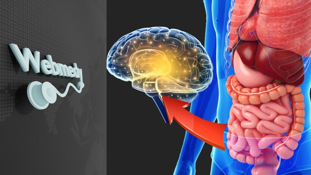 دراسة: الميكروبيوم المعوي لا يتفاعل بالطريقة نفسها لدى كل البشر مع المستحلبات الغذائية