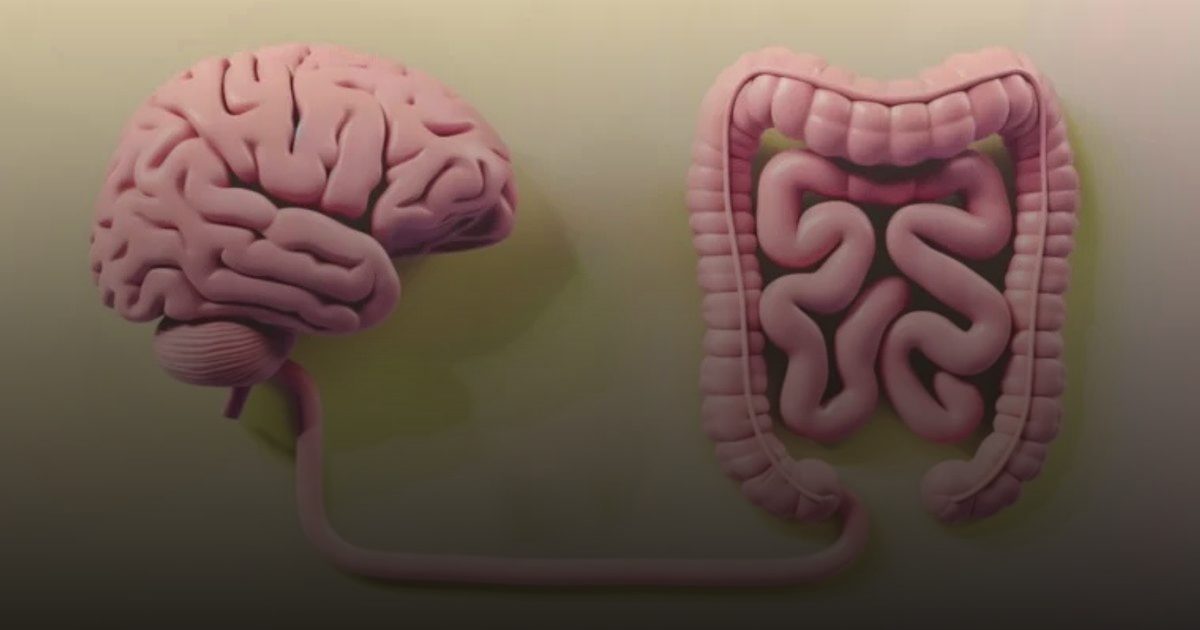 علماء يكتشفون "حاسة عصبية سادسة" في الأمعاء ترتبط بالطعام
