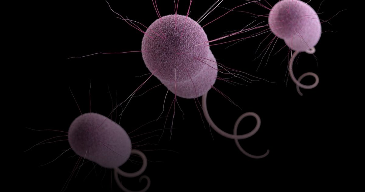 شركات الأدوية تقلص تطوير المضادات الحيوية بنسبة 35%