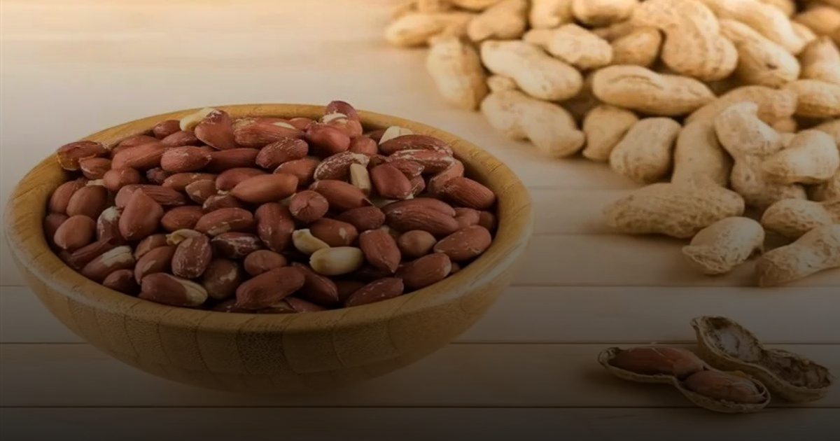 دراسة هولندية: تناول حصتين من الفول السوداني يومياً يعزز صحة الدماغ والذاكرة