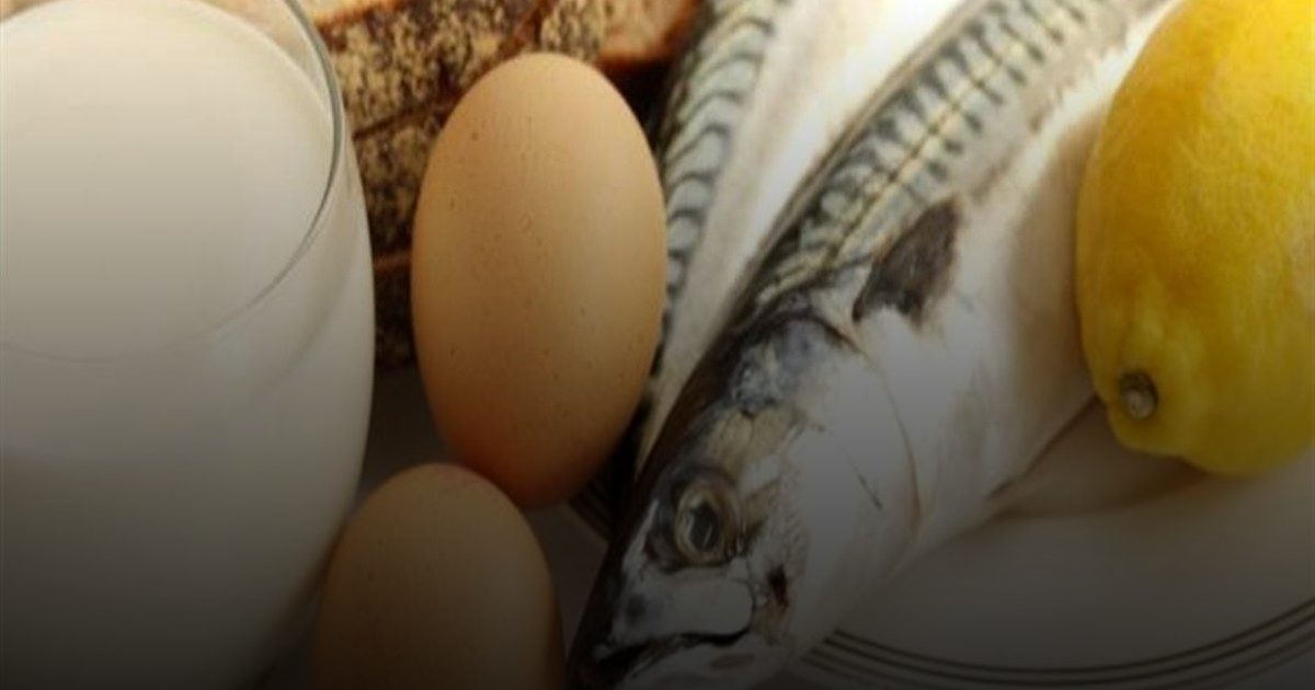 من يتفوق في حماية الشرايين: البيض أم السلمون؟