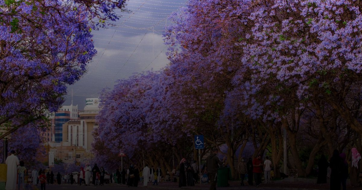 حملة "صيّف بصحة" تعزز الوعي الوقائي عبر فعاليات ميدانية في أبها