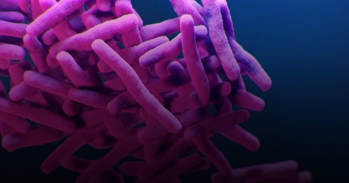 الصحة العالمية: اللقاحات أنجح التدخلات الصحية وتنقذ ملايين الأرواح سنويًا